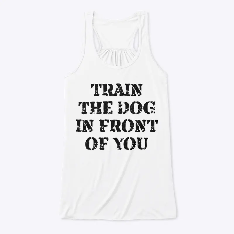 Train the Dog In Front of You