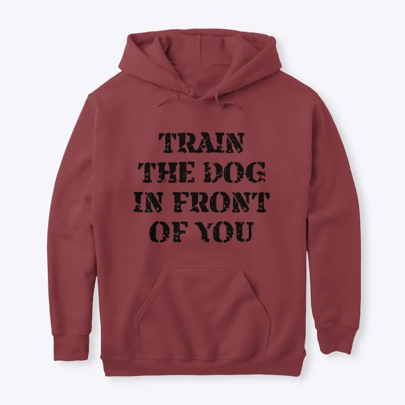 Train the Dog In Front of You