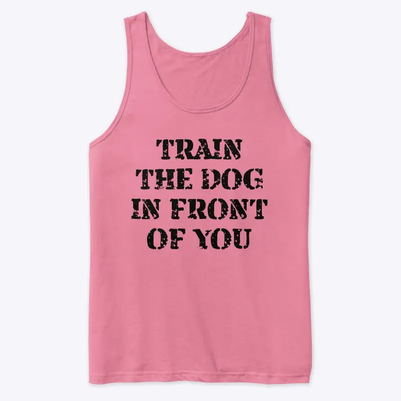 Train the Dog In Front of You